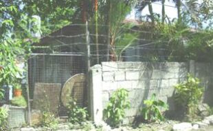 2333592 pic001