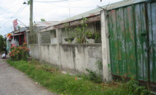 2337241 pic001
