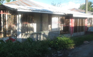 2341119 pic001