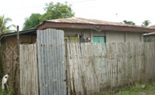 2342282 pic001