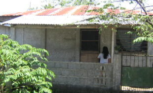 2344771 pic001