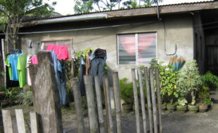 2346519 pic001