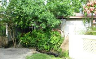 2346952 pic001