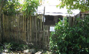 2347041 pic001