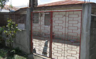 2348294 pic001