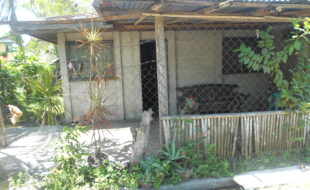 2348595 pic001