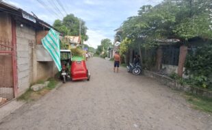 Foreclosed Properties Philippines Database 22 2355818 pic001