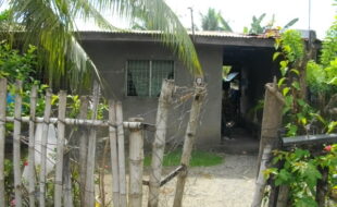 2356437 pic001