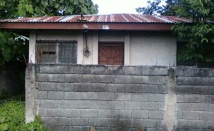 Foreclosed Properties Philippines Database 5 2360952 pic001