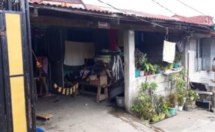 2362825 pic001