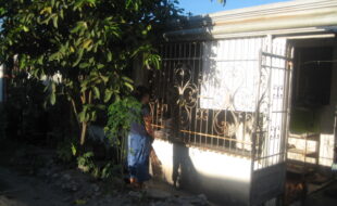 2364712 pic001