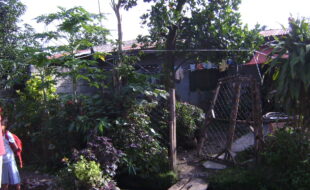DIGITAL CAMERA