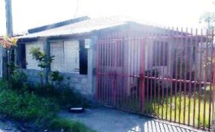 2373283 pic001
