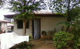 2376076 pic001