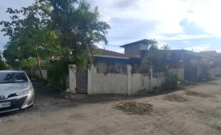 2378042 pic001