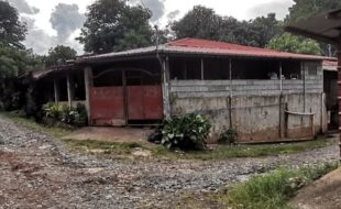 Foreclosed Properties Philippines Database 10 2379865 pic001