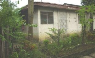 2381891 pic001