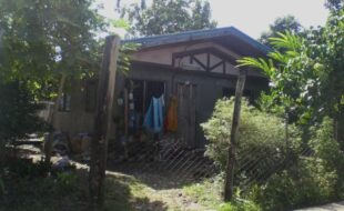 2383829 pic001