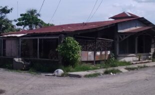 2384874 pic001