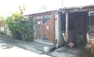 2387105 pic001