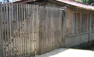 2387137 pic001