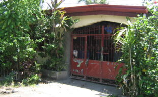 2388064 pic001