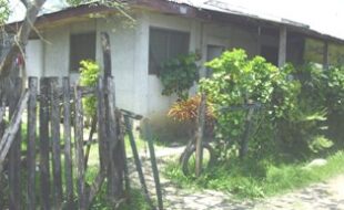 2388089 pic001
