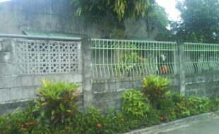 2388397 pic001