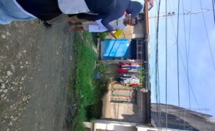 2388974 pic001