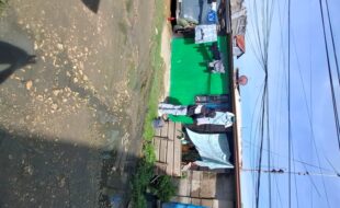 2389031 pic001