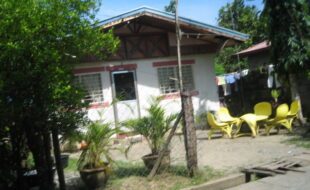 2391075 pic001
