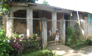 2391939 pic001
