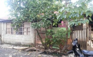 2392408 pic001