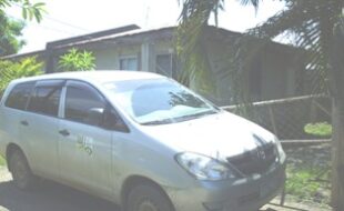 2392676 pic001