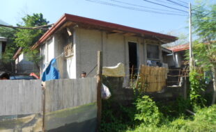 2392755 pic001