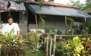 2402792 pic001