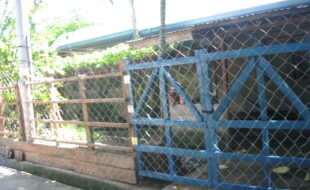 2404024 pic001