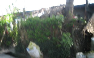 2404056 pic001