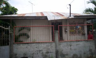 2404751 pic001