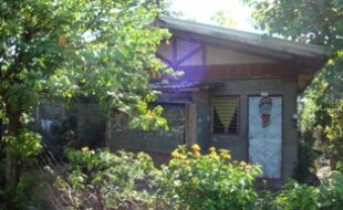 2407702 pic001