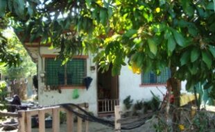 Foreclosed Properties Philippines Database 9 2412102 pic001