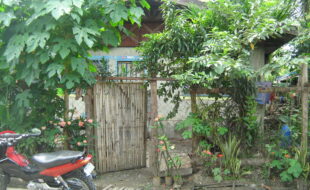 2412632 pic001