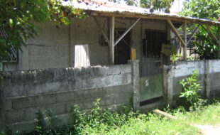 2413807 pic001