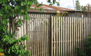 2413821 pic001