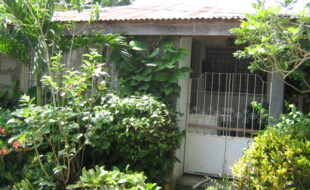 2413839 pic001