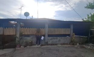 2418533 pic001