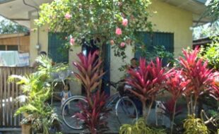 Foreclosed Properties Philippines Database 6 2418859 pic001