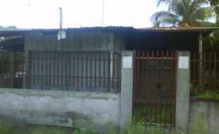 2425311 pic001