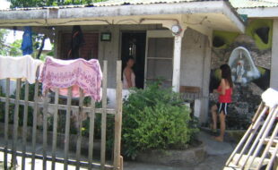 2425597 pic001