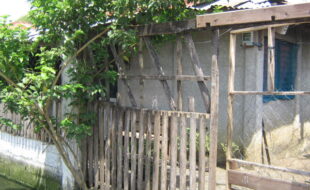 2426629 pic001